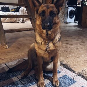 Preili Lotta Muugalt