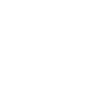 toortoit kategooria valge