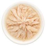 CatFest einekotike tuunikalaga tarretises kassidele